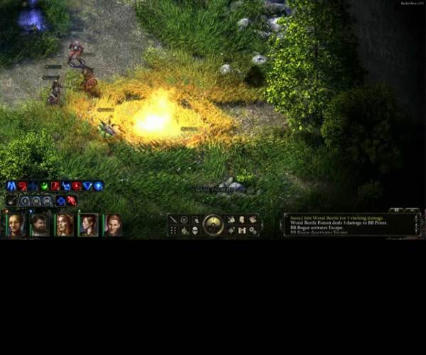 Pillars of Eternity