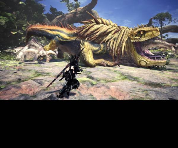 Monster Hunter