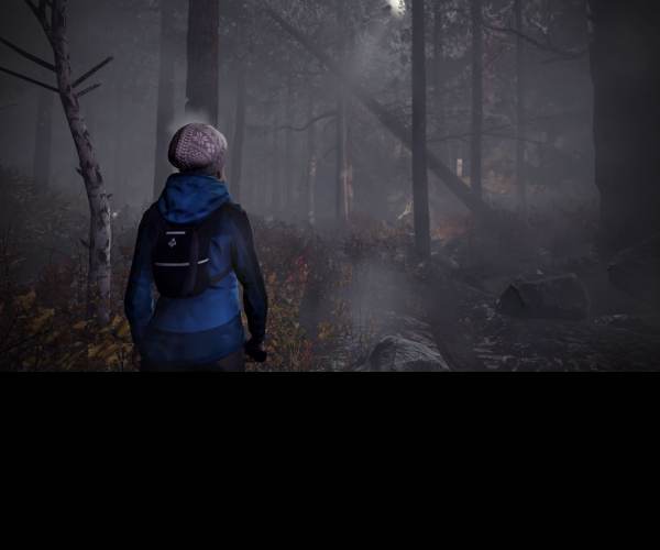Through the Woods