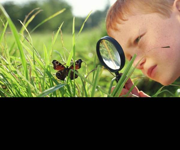 Observation
