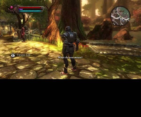 Kingdoms of Amalur: Reckoning (X360)