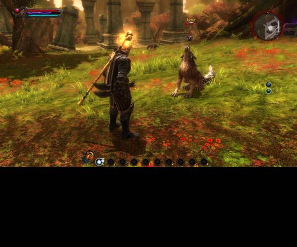 Kingdoms of Amalur: Reckoning