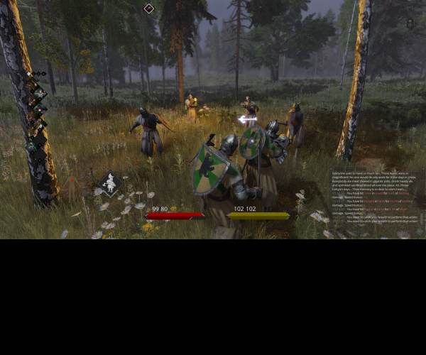 Life is Feudal: MMO
