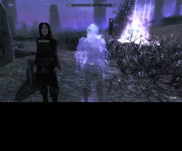 TES V: Skyrim - Dawnguard