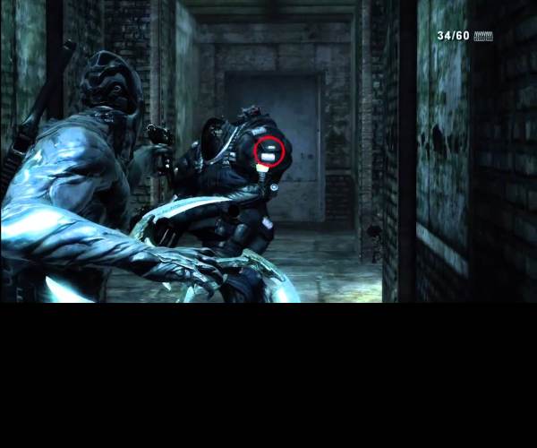 Dark Sector