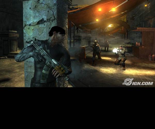 Dark Sector