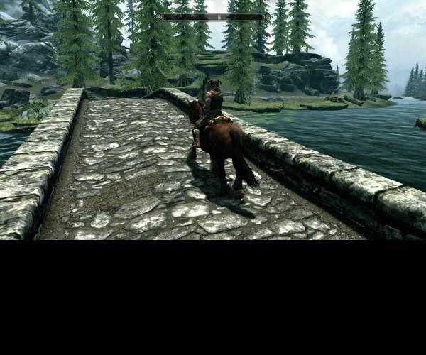 The Elder Scrolls V: Skyrim