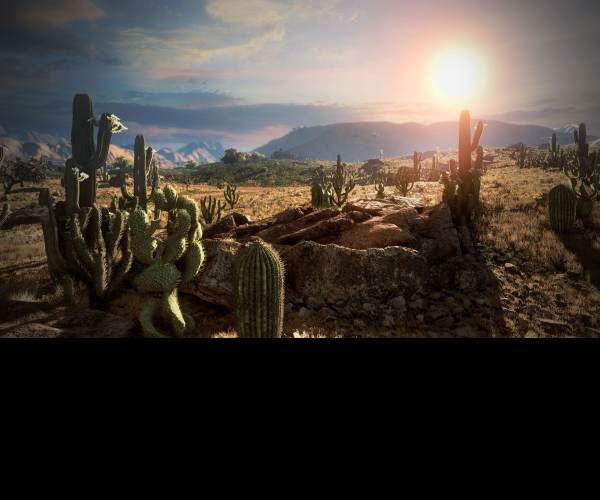 Wild West Online