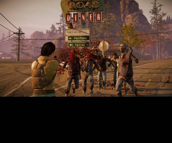 State of Decay