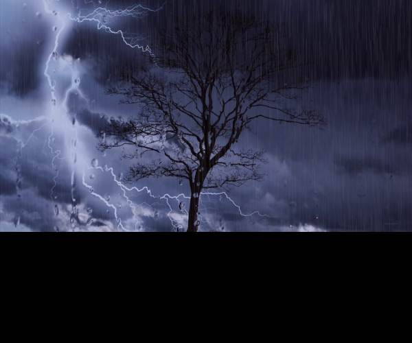 Rain