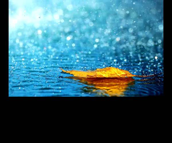Rain