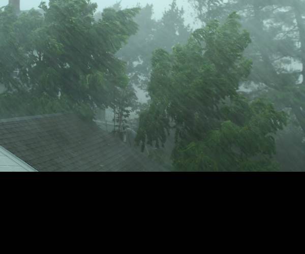 Rain