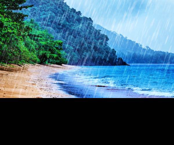 Rain