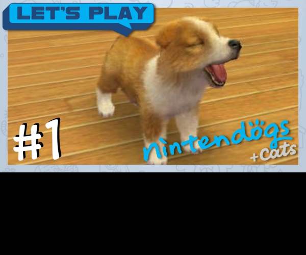 Nintendogs + Cats