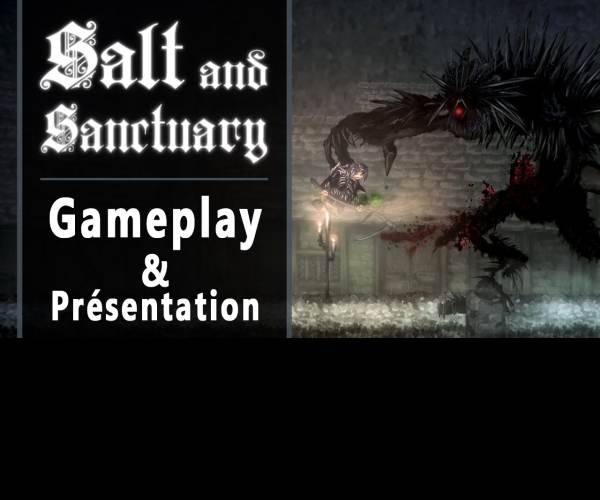 Salt and Sanctuary