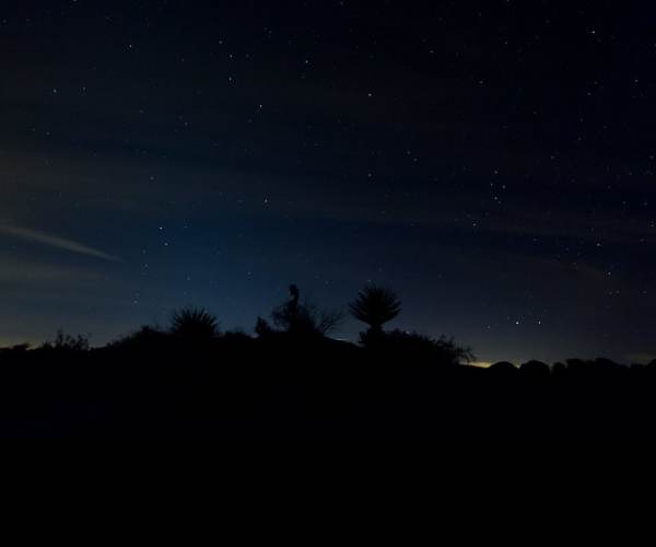 Dark Horizon