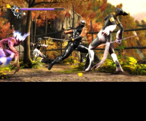 Ninja Gaiden Sigma