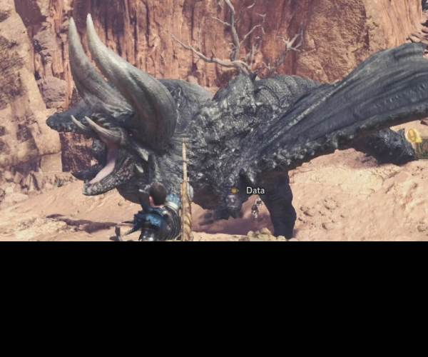 Monster Hunter