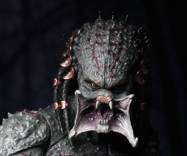 Predator