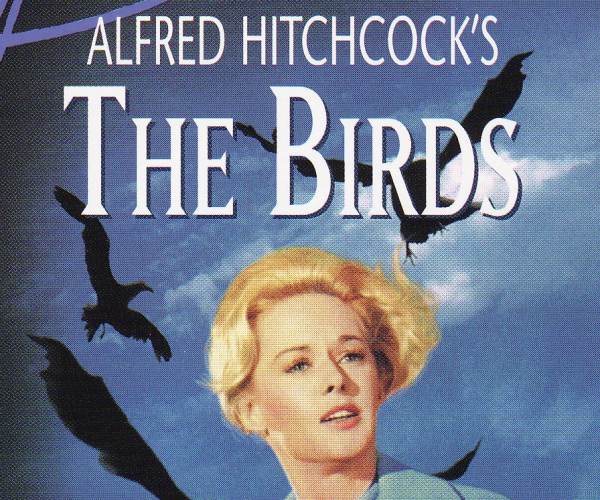 The Birds