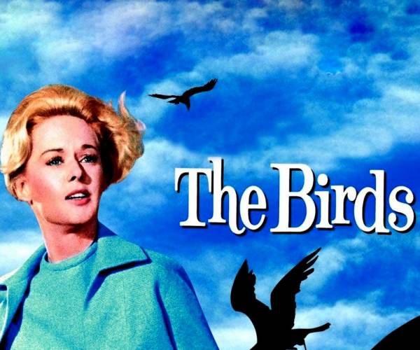 The Birds