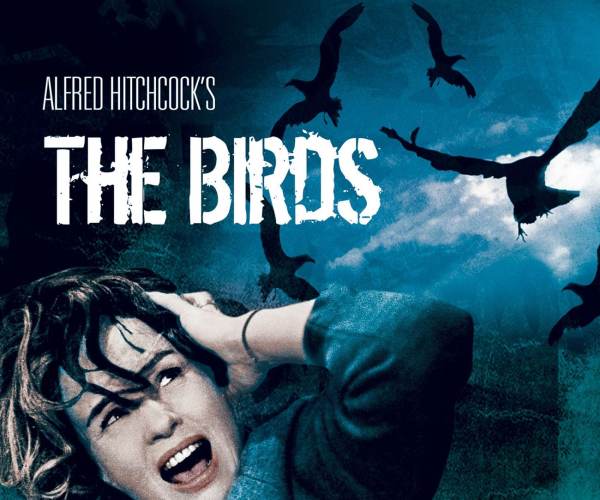 The Birds