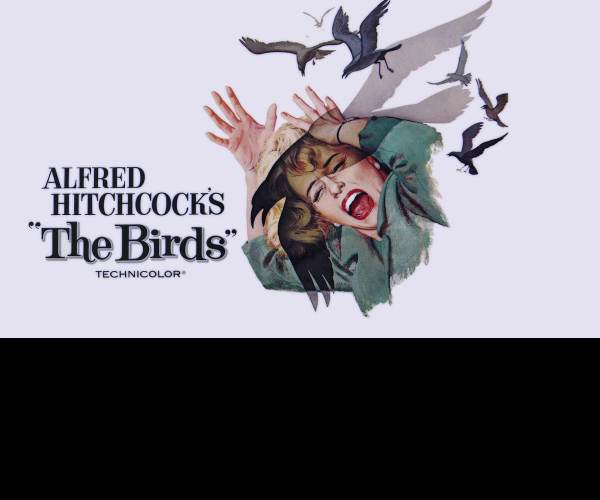 The Birds
