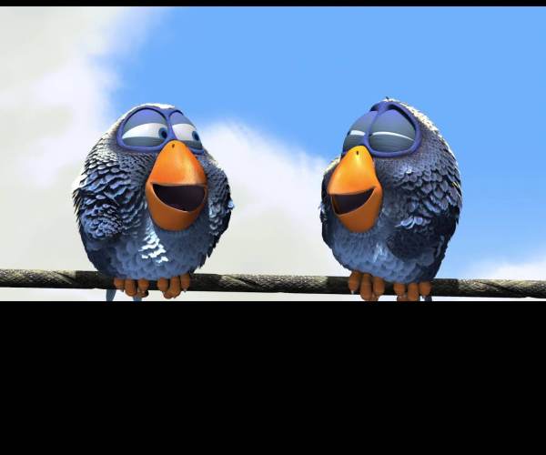 The Birds