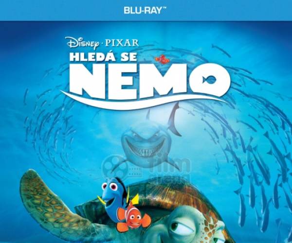Hledá se Nemo