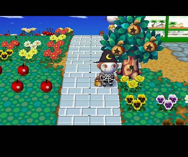 Animal Crossing: Wild World