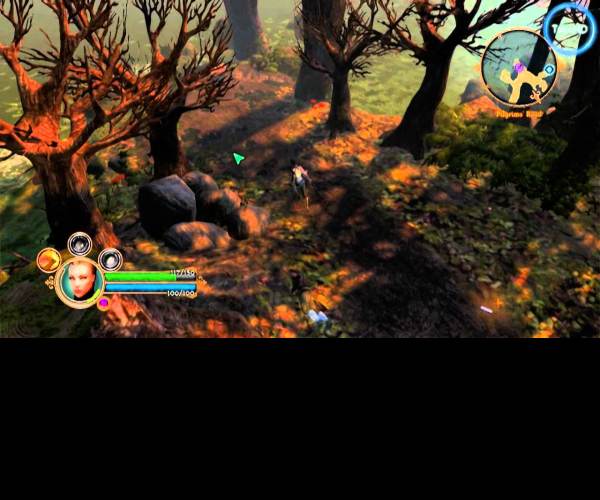 Dungeon Siege 3