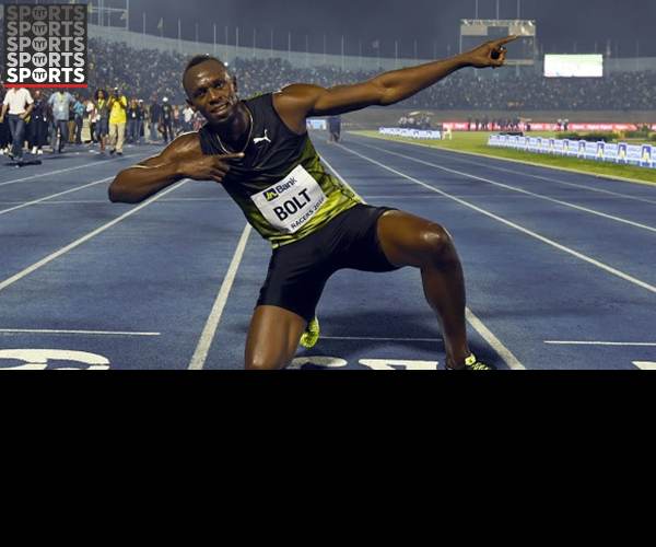 Bolt