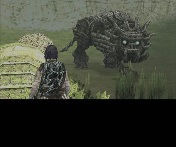 Shadow of the Colossus