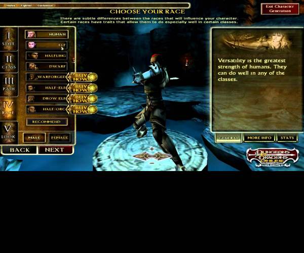 Dungeons & Dragons Online