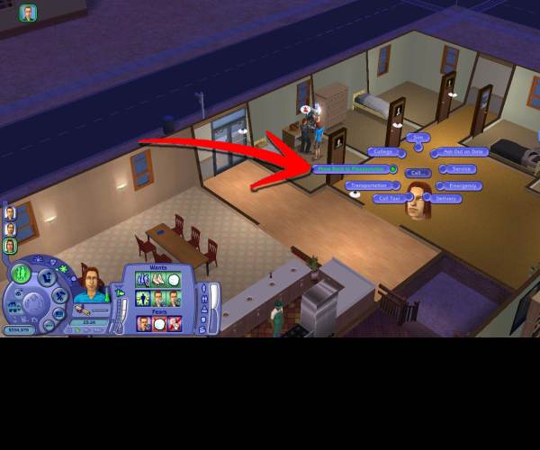 The Sims 2: University