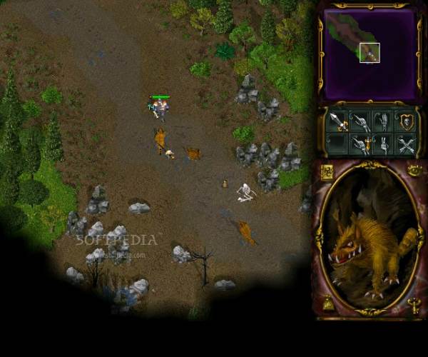 Rage of Mages 2: Necromancer