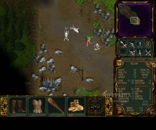 Rage of Mages 2: Necromancer