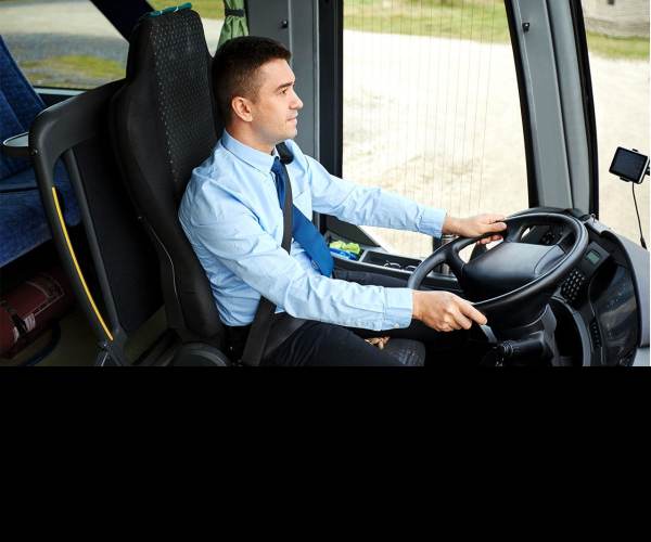Bus Driver