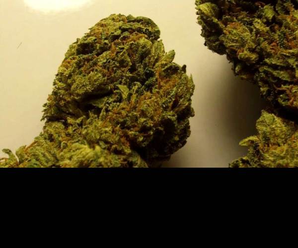Haze
