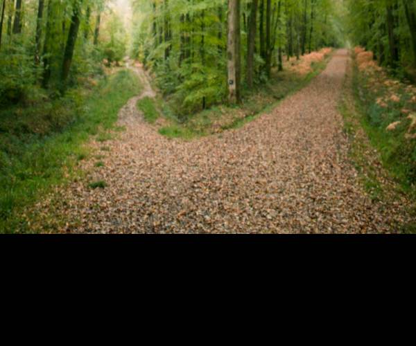 The Path