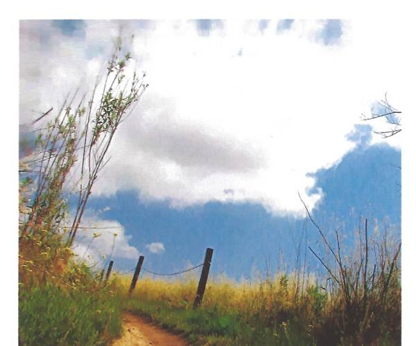 The Path