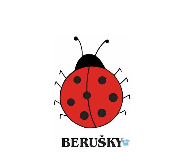 Berušky 2