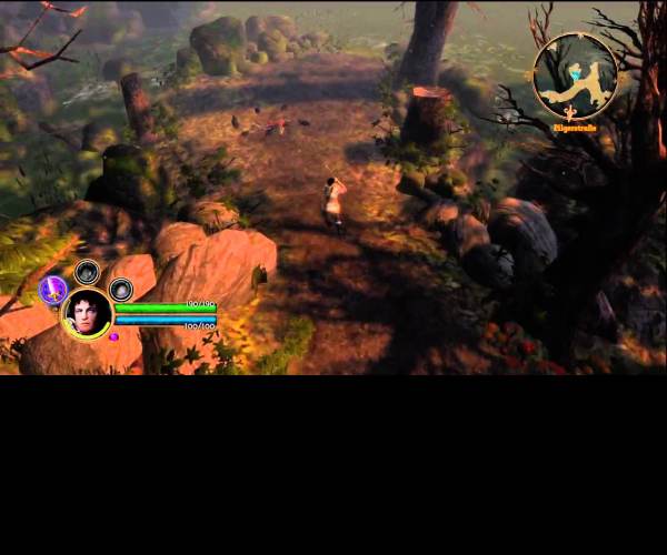 Dungeon Siege 3