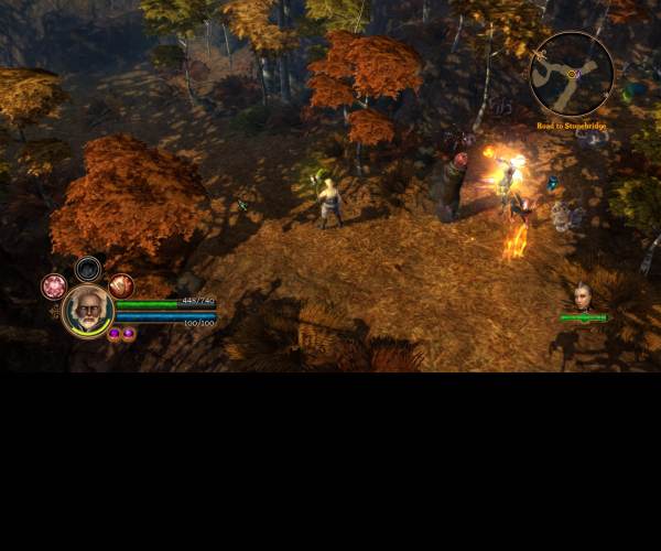 Dungeon Siege 3