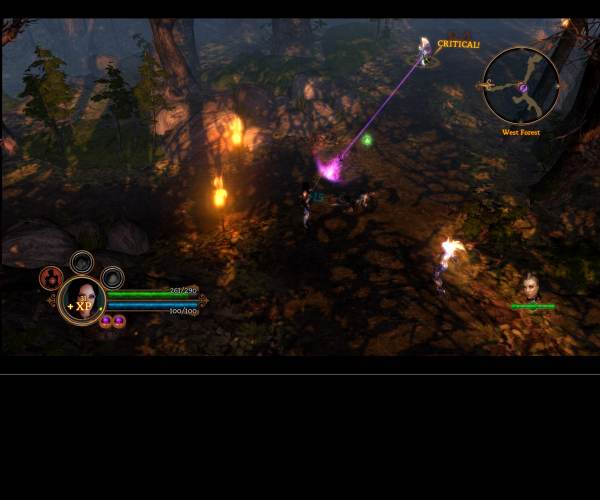 Dungeon Siege 3