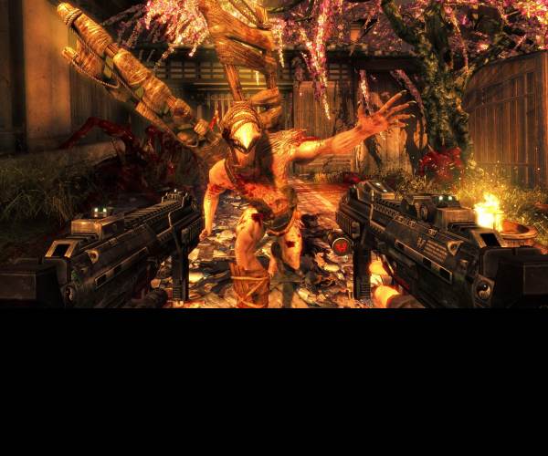 Shadow Warrior