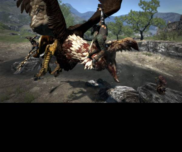 Dragon's Dogma