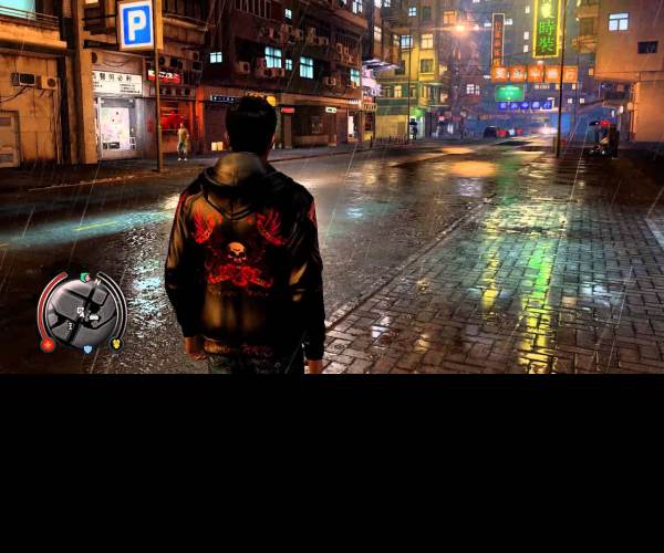 Sleeping Dogs