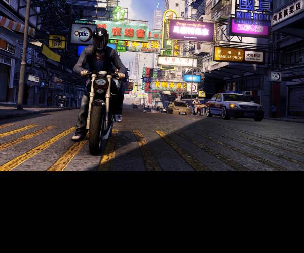 Sleeping Dogs