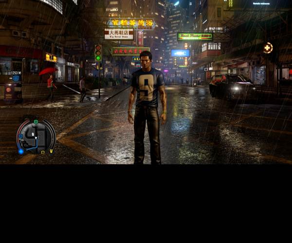 Sleeping Dogs